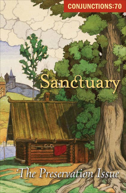 Sanctuary: The Preservation Issue