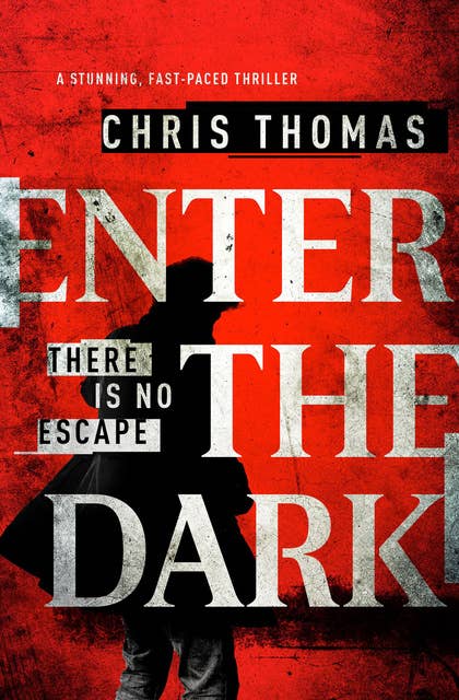 Enter the Dark: A Stunning, Fast-Paced Thriller