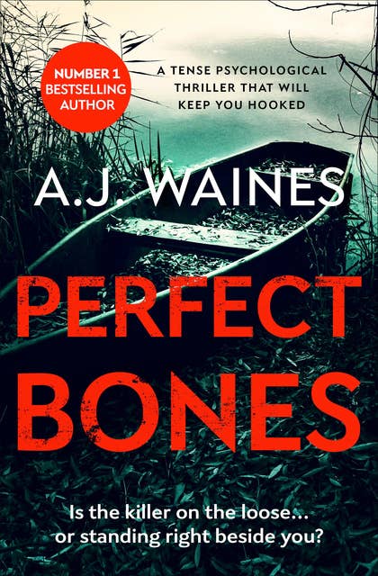 Perfect Bones: A Tense Psychological Thriller That Will Keep You Hooked