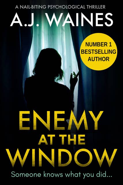 Enemy at the Window: A Nail-Biting Psychological Thriller