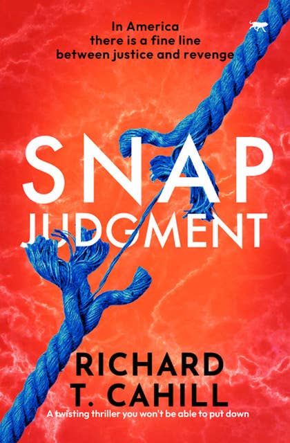Snap Judgment: A twisting thriller you won't be able to put down