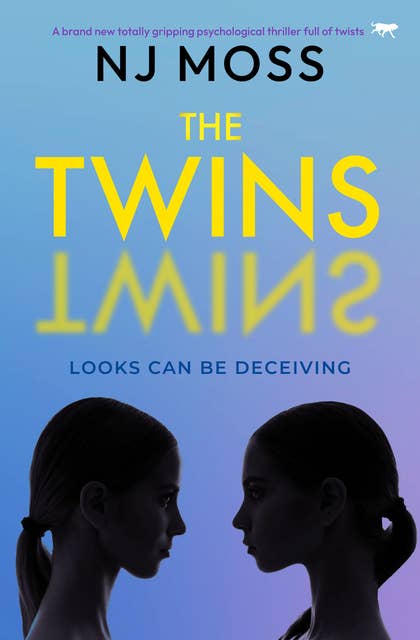 The Twins: A brand new totally gripping psychological thriller full of twists