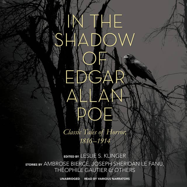 In the Shadow of Edgar Allan Poe: Classic Tales of Horror, 1816–1914