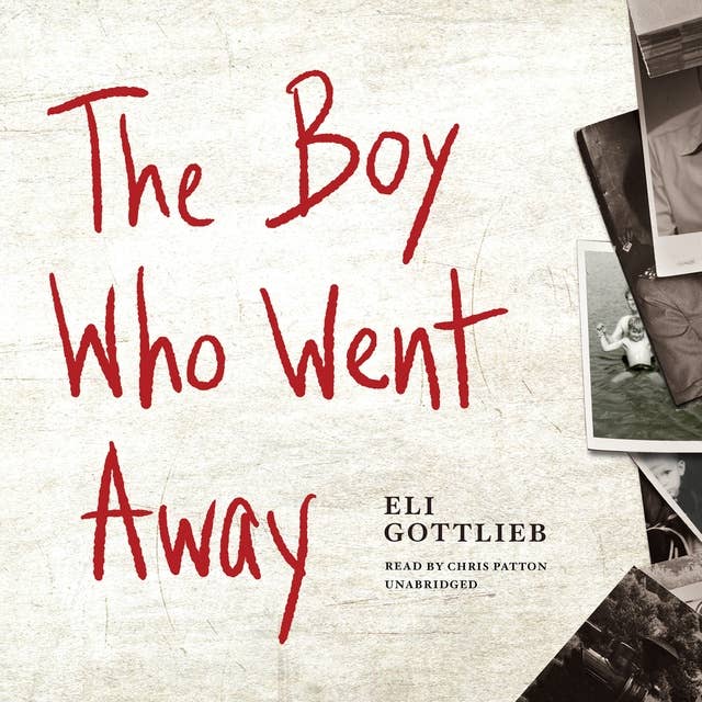 The Boy Who Went Away: A Novel