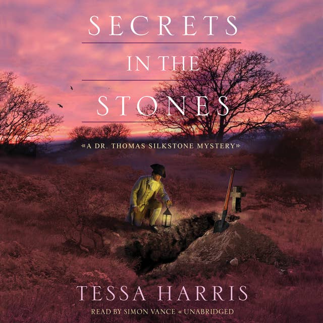 Secrets in the Stones: A Dr. Thomas Silkstone Mystery