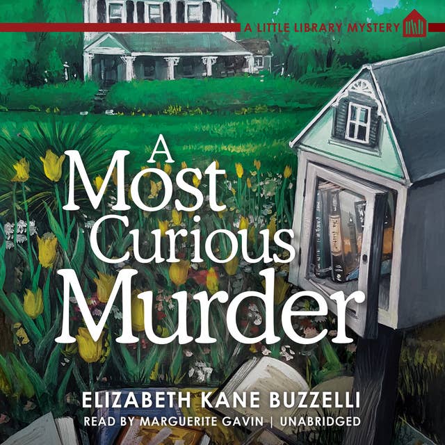 Cover for A Most Curious Murder: A Little Library Mystery