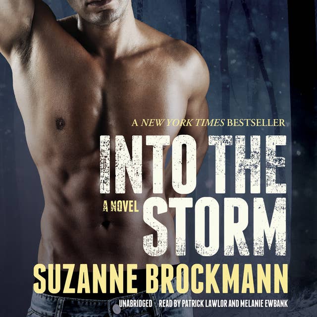 Into the Storm: A Novel