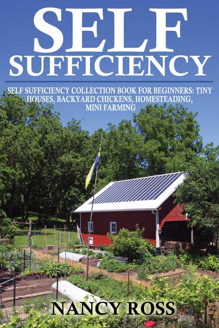 Self Sufficiency: A Beginners Guide To Self Sufficiency Box Set 4 in 1