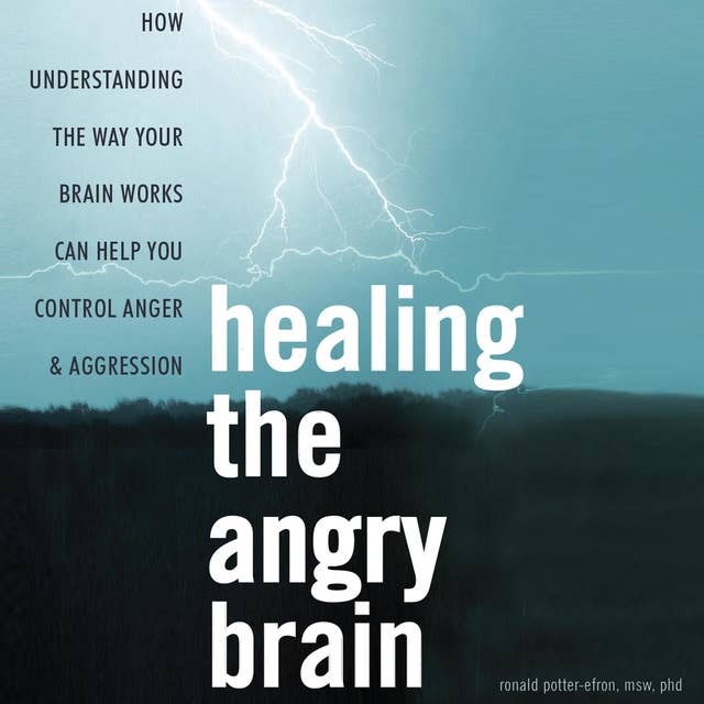 Healing the Angry Brain: How Understanding the Way Your Brain Works Can Help You Control Anger and Aggression