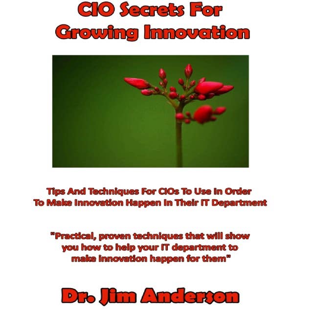 CIO Secrets for Growing Innovation: Tips and Techniques for CIOs to Use in Order to Make Innovation Happen in Their IT Department