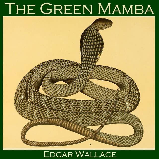 Cover for The Green Mamba