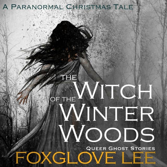 The Witch of the Winter Woods: A Paranormal Christmas Tale