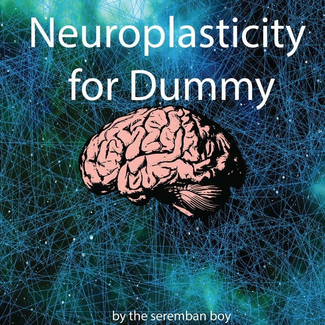 Neuroplasticity for Dummy: How to Reprogramme Your Brain