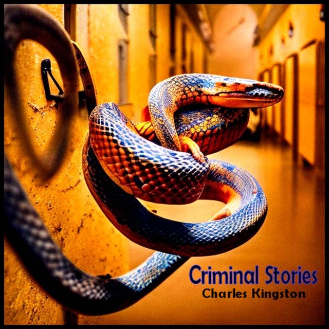 Criminal Stories: Short Stories