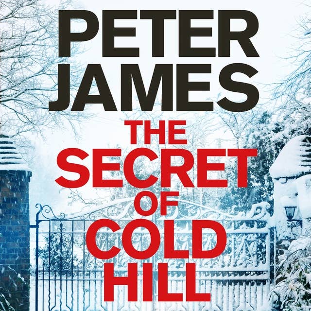 Cover for The Secret of Cold Hill
