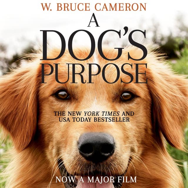 A Dog's Purpose: A novel for humans
