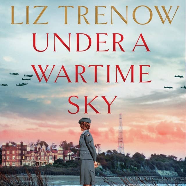 Cover for Under a Wartime Sky