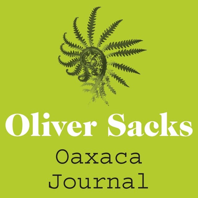 Cover for Oaxaca Journal