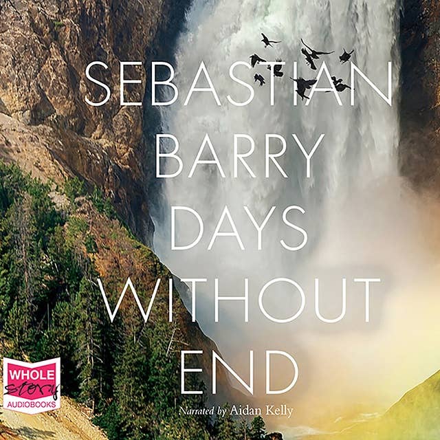 Cover for Days Without End