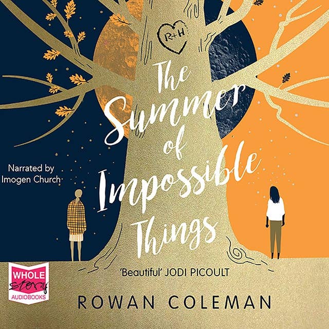 The Summer Of Impossible Things