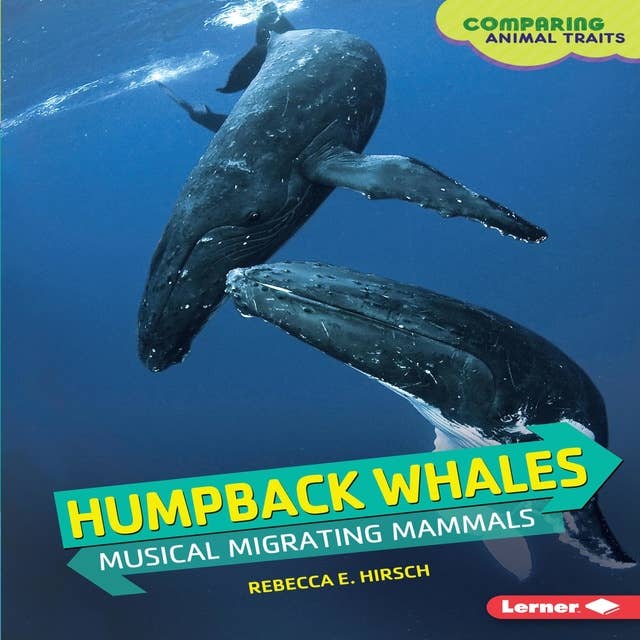 Humpback Whales: Musical Migrating Mammals