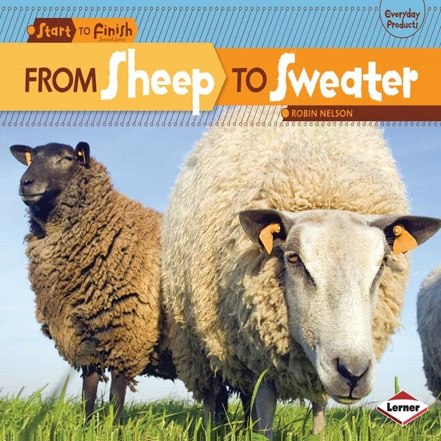 From Sheep to Sweater