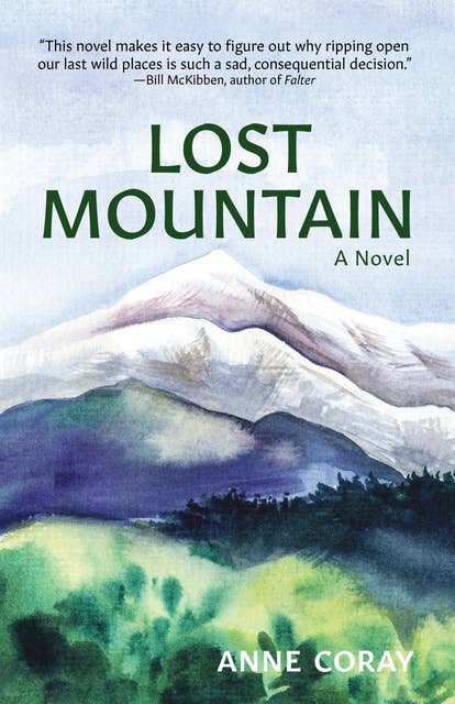 Lost Mountain: A Novel