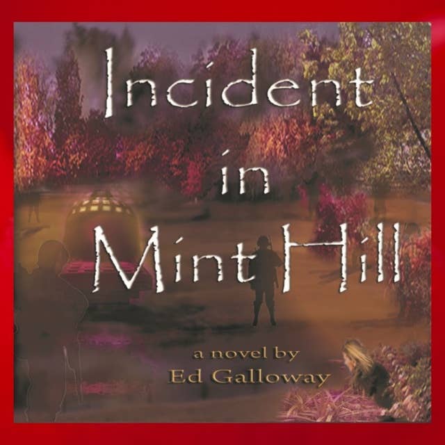 Incident in Mint Hill