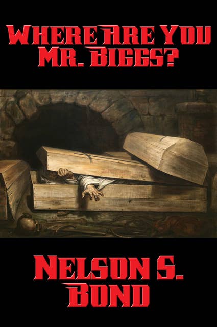 Cover for Where Are You Mr. Biggs?
