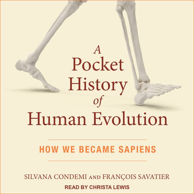 Cover for A Pocket History of Human Evolution: How We Became Sapiens