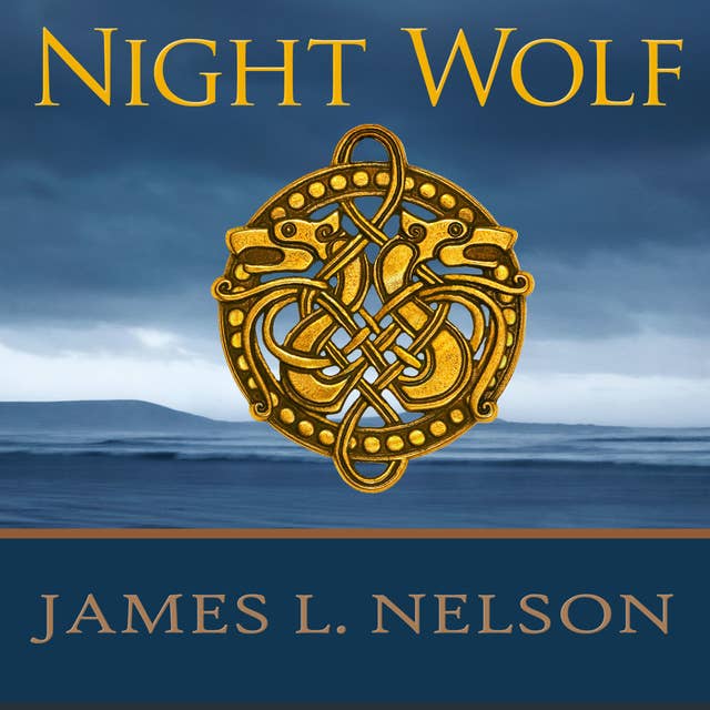 Night Wolf: A Novel of Viking Age Ireland