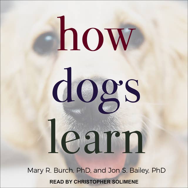 Cover for How Dogs Learn