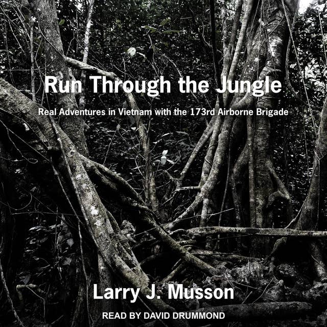Run Through the Jungle: Real Adventures in Vietnam with the 173rd Airborne Brigade