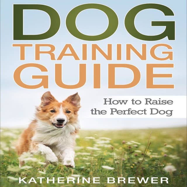 Dog Training Guide: How to Raise the Perfect Dog