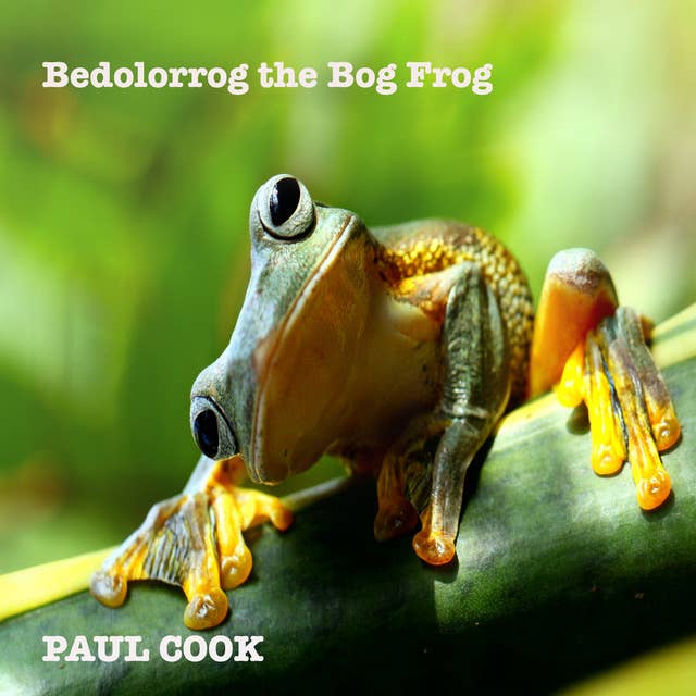 Bedolorrog the Bog Frog