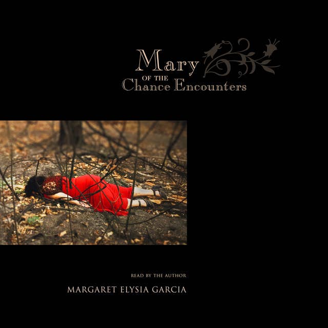 Mary of the Chance Encounters