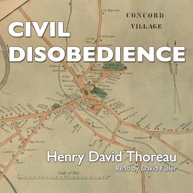 Civil Disobedience