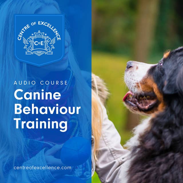 Canine Behaviour Training