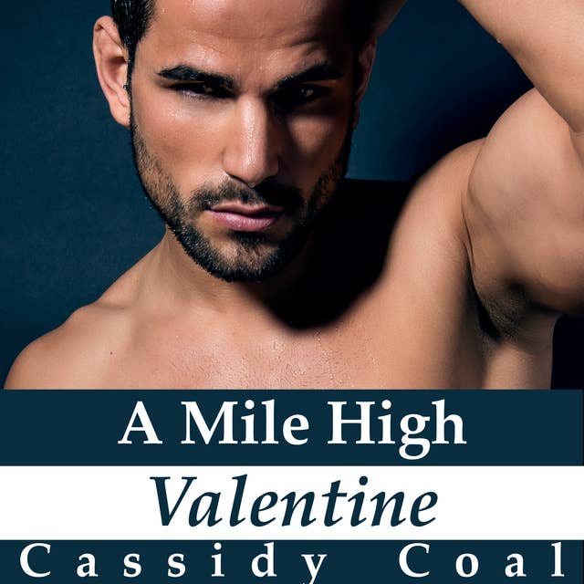 A Mile High Valentine (A Mile High Romance Book 2)