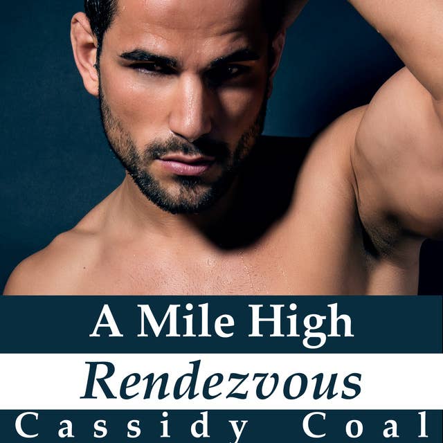 A Mile High Rendezvous (A Mile High Romance Book 4)