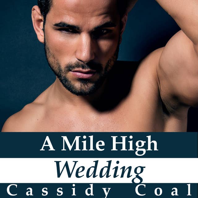 A Mile High Wedding (A Mile High Romance Book 8)