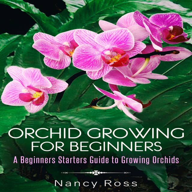 Orchid Growing for Beginners - A Beginners Starters Guide to Growing Orchids