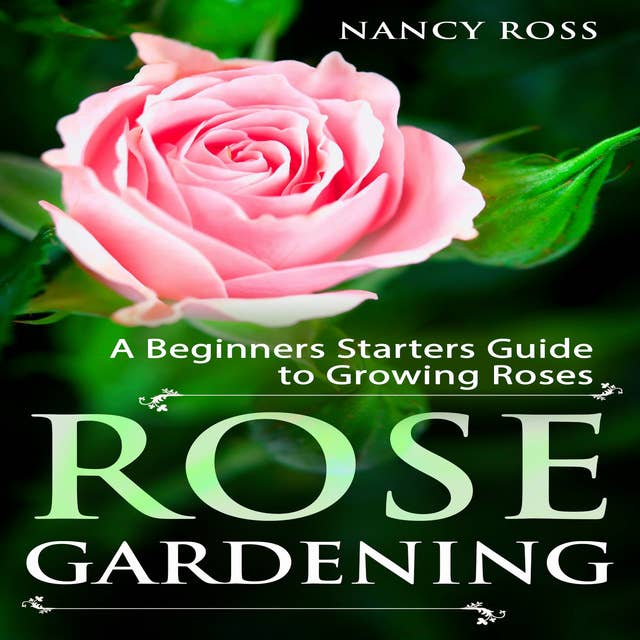 Rose Gardening - A Beginners Starters Guide to Growing Roses