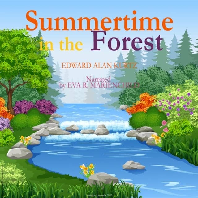 Summertime in the Forest