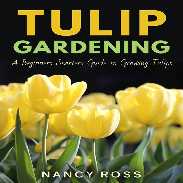 Tulip Gardening - A Beginners Starters Guide to Growing Tulips