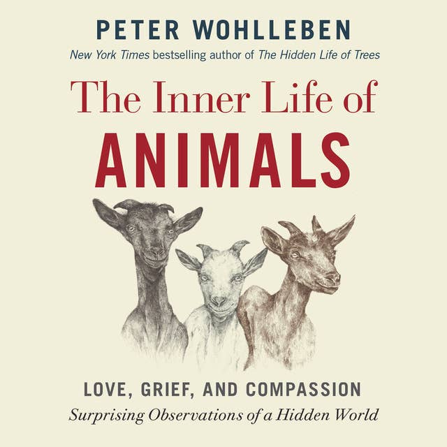 The Inner Life of Animals: Love, Grief, and Compassion - Surprising Observations of a Hidden World