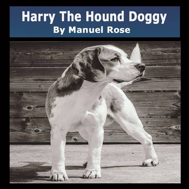 Harry The Hound Doggy
