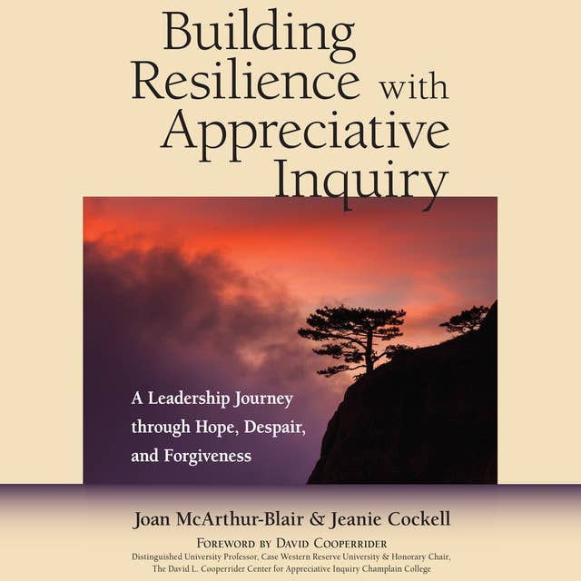Building Resilience with Appreciative Inquiry: A Leadership Journey through Hope, Despair, and Forgiveness