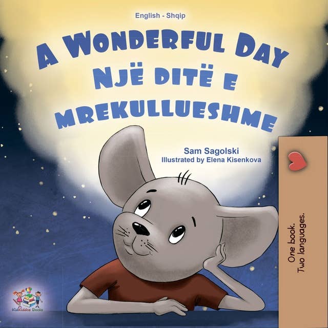 A wonderful Day Një ditë e mrekullueshme: English Albanian  Bilingual Book for Children