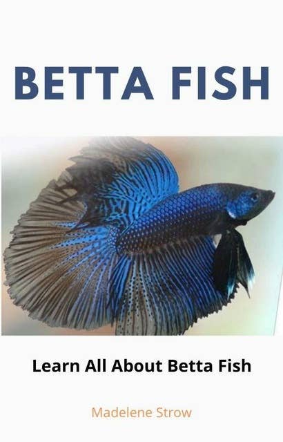 Betta Fish: Learn all about Betta Fish